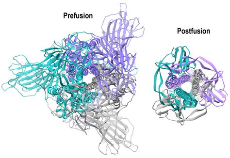 Distinct Conformational States Of Sars Cov Spike Protein Gatan Inc