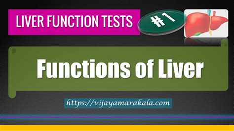 Functions Of The Liver Liver Function Tests Lfts Part 1 Youtube