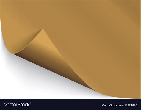 Page Curl With Shadow On A Blank Sheet Of Paper Vector Image