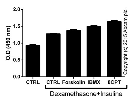 Pkc Kinase Activity Assay试剂盒 Abcam中文官网