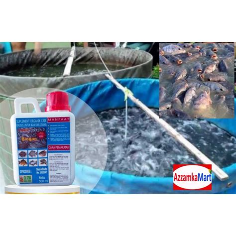 Jual Probiotik Biogan Suplemen Vitamin Ikan Lele Gurame Nila Patin