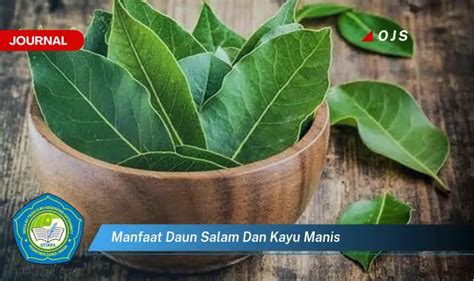 Kamu Wajib Tahu 10 Manfaat Daun Salam Dan Kayu Manis Yang Bikin Penasaran