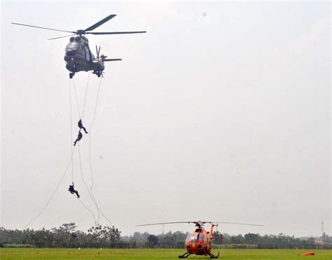 Helikopter TNI AD Hilang Kontak Di Papua Ferd