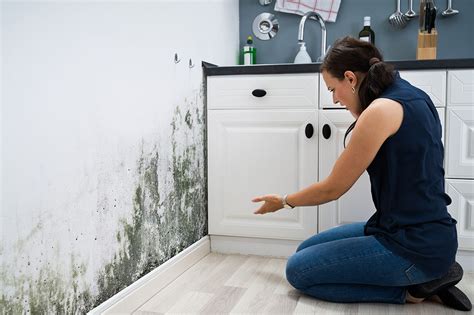 Mold Damage Heres What You Should Know Before Filing A Claim