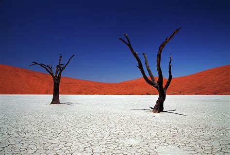 Sossusvlei In Namib Desert Namibia By Igor Bilic