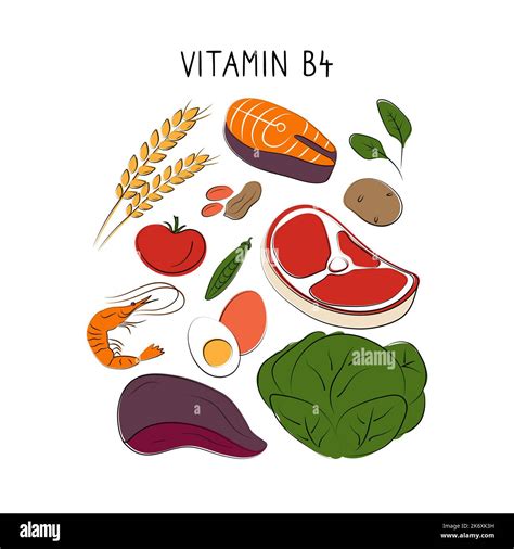 Vitamin B Choline Groups Of Healthy Products Containing Vitamins Set