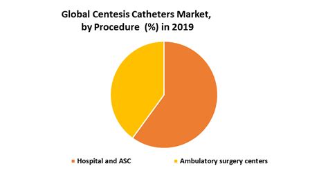 Global Centesis Catheters Market Industry Analysis And Forecast