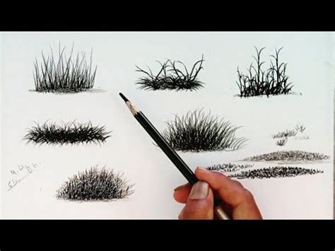 How to draw grass with pencil / Drawing for beginners / - YouTube in ...