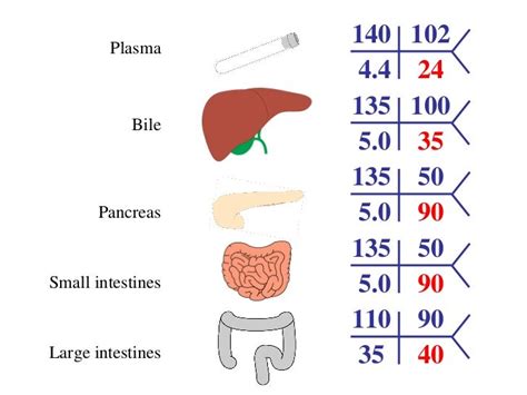 Non Anion Gap Metabolic Acidosis Nagma