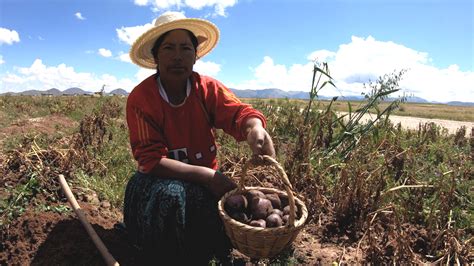 Hoy Inicia El Empadronamiento General De Productores Agrarios En La