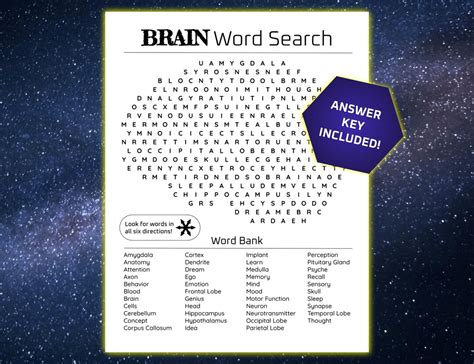 Brain Word Search Science Vocabulary Classroom Activity Teaching Tool