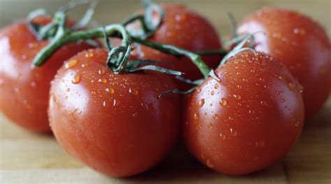 How To Fertilize Tomatoes For A Big Harvest