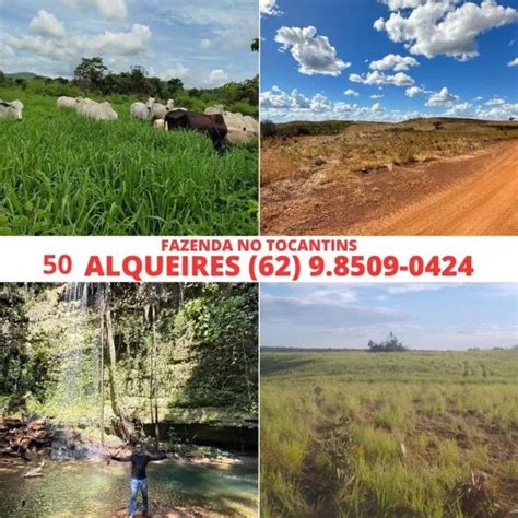 Fazenda De Alqueires No Estado De Tocantins A Venda Terrenos