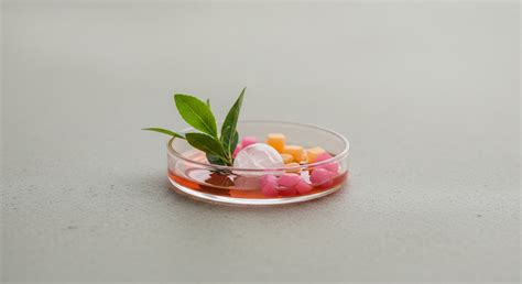 How Does the Chronic Release of Cortisol from Self-Criticism Impact