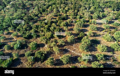 Aerial View Of Farmland In Lefkada Island In Greece There Is