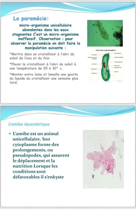 Re Ann E Secondaire Sciences Svt Diversit Du Monde Microbien Re