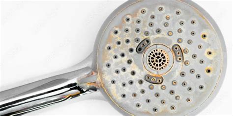 How to clean LED shower head in 3 Easy Steps - The Home Guidance