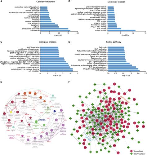 Frontiers Proteomic Analysis Of Protein Ubiquitination Events In