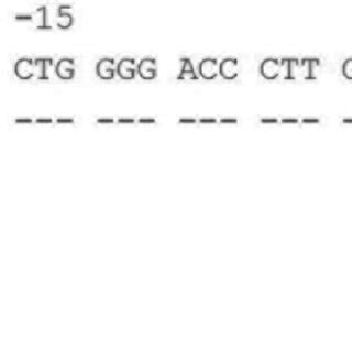 Alignment Of The Sequence Of Exon 1 Of HLADQA1 05 05 14 With The