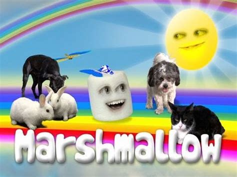 Annoying Orange: Marshmallow Theme Song - YouTube