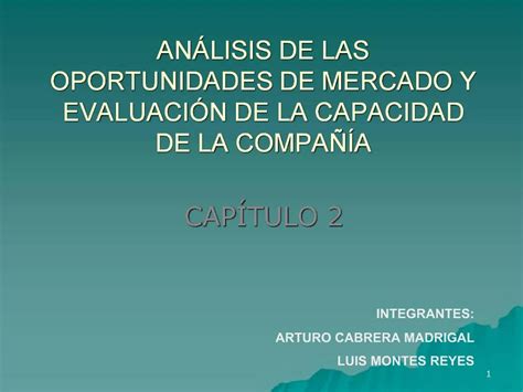 PPT AN LISIS DE LAS OPORTUNIDADES DE MERCADO Y EVALUACI N DE LA