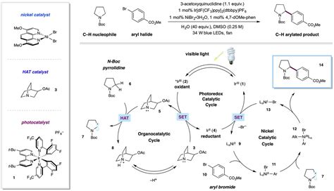 Native Functionality In Triple Catalytic Cross Coupling Sp3 Ch Bonds