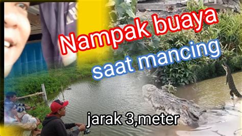 Saat Mancing Buaya Didapan Mata Youtube