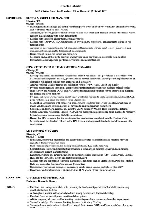 Market Risk Manager Resume Samples Velvet Jobs