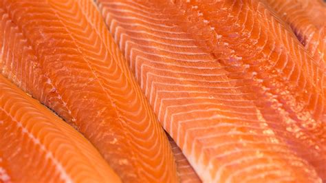 FDA lifts ban on genetically modified salmon | Fox Business