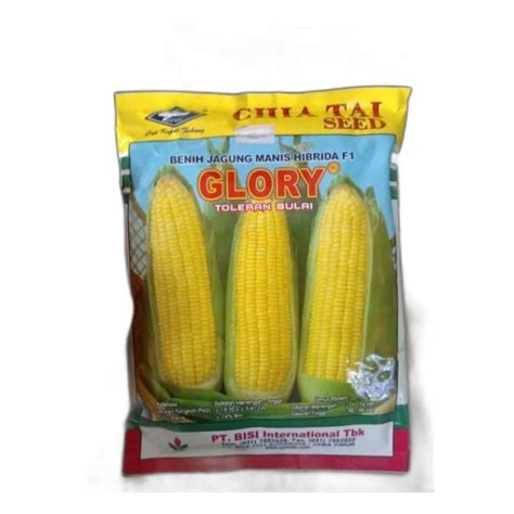 Jual Benih Jagung Manis Hibrida Glory Gram Cap Kapal Terbang Di