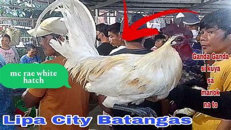 Bentahan Ng Mga Quality Manok Lipa City Batangas Youtube