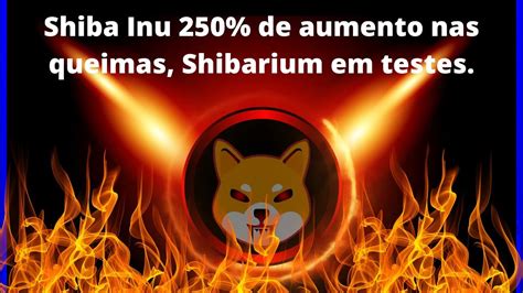 Shiba Inu Taxa De Queima Aumenta 250 Shibarium TestNet Em Andamento