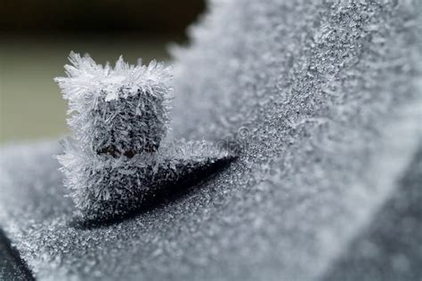 Cristalli Di Ghiaccio E Della Neve Sulle Piante Immagine Stock