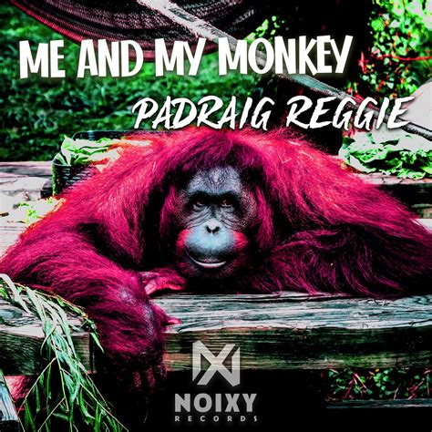 ‎Me and My Monkey - Single - Álbum de Padraig Reggie - Apple Music