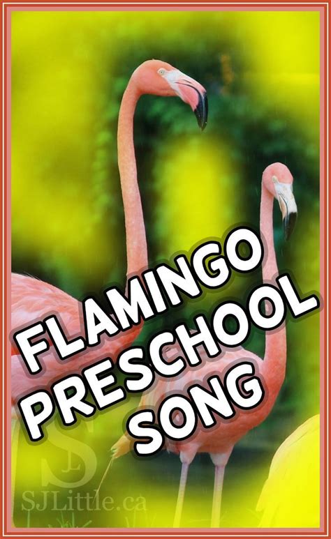 Flamingo Preschool Song | Fun and Educational Song for Kids