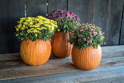 Learn How To Make This Simple But Beautiful Diy Pumpkin Planter An Eye