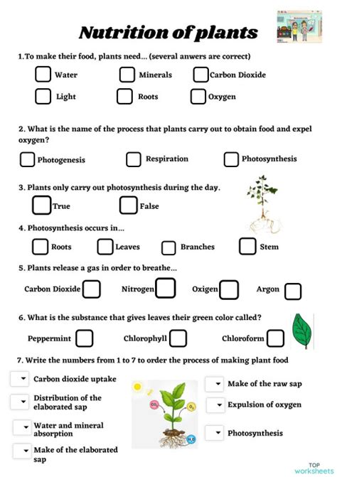 Year 7 Cells Test Unit 1b Worksheet Live Worksheets Worksheets Library