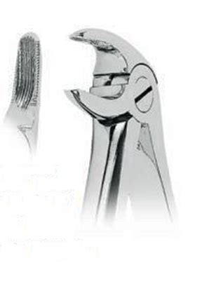 Forceps dental ASA Nº 13 Premolares inferiores DJL Dental