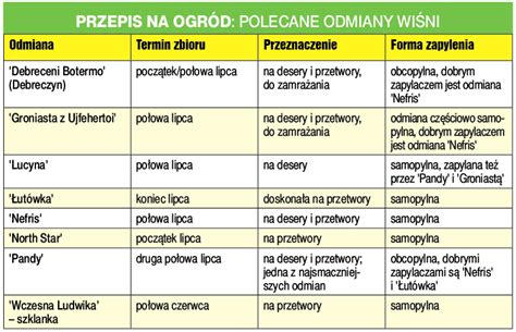 Sezon na wiśnie Mój Piękny Ogród