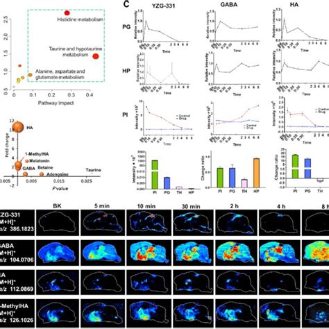 The Screening Of Differential Metabolites And Spatiotemporal