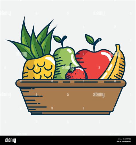 Set Fresh Fruits Handmade Drawn Stock Vector Image And Art Alamy