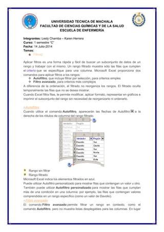 Filtros De Excel Pdf