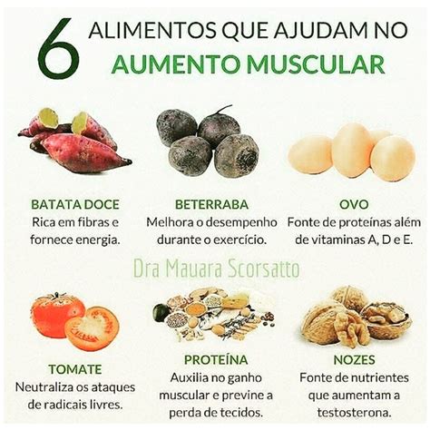 6 Alimentos Para O Aumento Muscular Nutrição Alimentar Dicas De Nutrição Nutrição Saudável