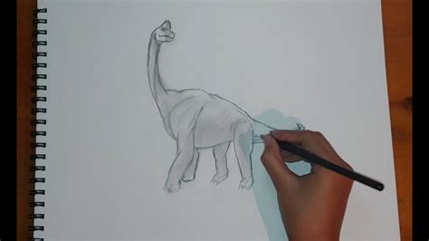 Como Dibujar Un Diplodoco How To Draw A Diplodocus Youtube