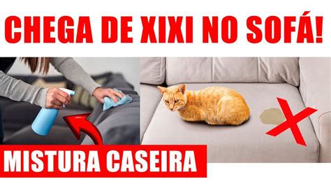 Meu Gato Faz Xixi No Sof Como Resolver Mistura Caseira E Barata