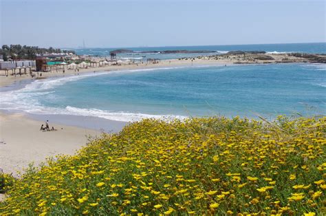 A letter from Israel: Israeli Beaches in the Winter