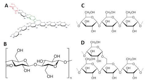 Polysaccharides Cellulose