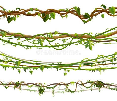 Set Of Isolated Jungle Vines Twisted Liana Plant Stock Illustration