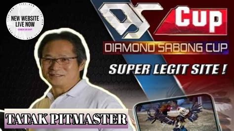 Diamond Sabong Cup Review New Website Youtube