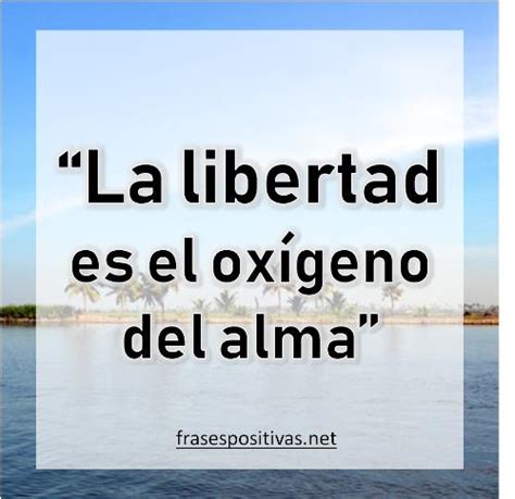 Total Imagen Frases Para Reflexionar Sobre La Libertad Abzlocal Mx